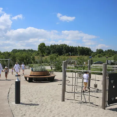 Wenecja C004 - Polanki Aqua - *