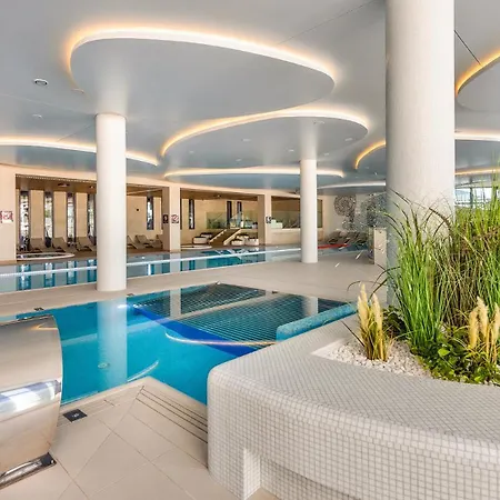 Wenecja C004 - Polanki Aqua - *